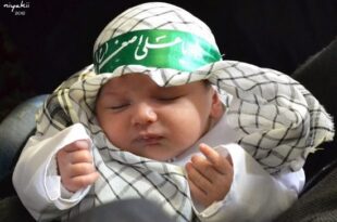 List of Best Shia Baby Boy names 2022
